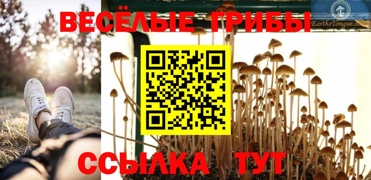 Галлюциногенные грибы GOLDEN TEACHER Ефремов