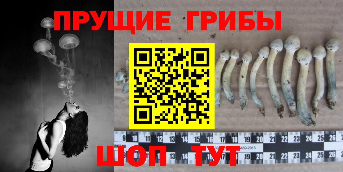 Ефремов  Псилоцибиновые грибы мицелий  Вход с VPN  Галлюциногенные грибы Magic Shrooms 